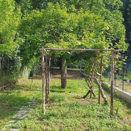 Casa Rosita